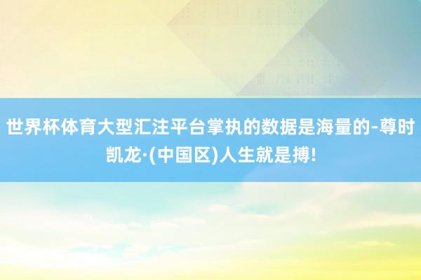 世界杯体育大型汇注平台掌执的数据是海量的-尊时凯龙·(中国区)人生就是搏!