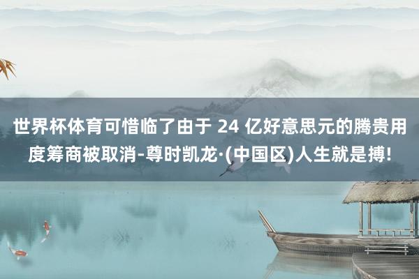 世界杯体育可惜临了由于 24 亿好意思元的腾贵用度筹商被取消-尊时凯龙·(中国区)人生就是搏!