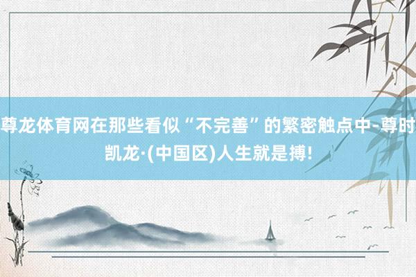 尊龙体育网在那些看似“不完善”的繁密触点中-尊时凯龙·(中国区)人生就是搏!